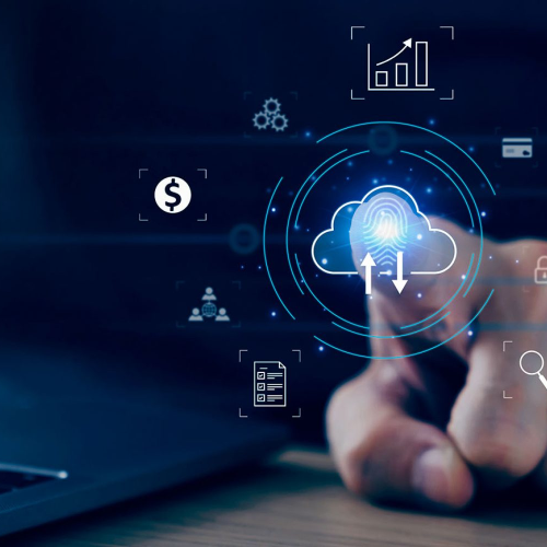 Ecossistema Perfeito