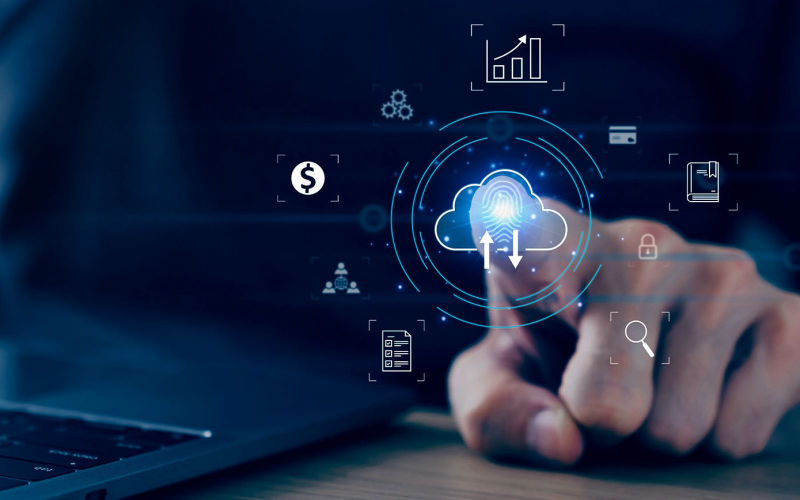 Ecossistema Perfeito